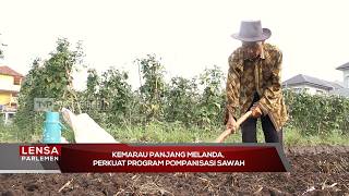 Kemarau Panjang Melanda, Perkuat Program Pompanisasi Sawah - Lensa Parlemen