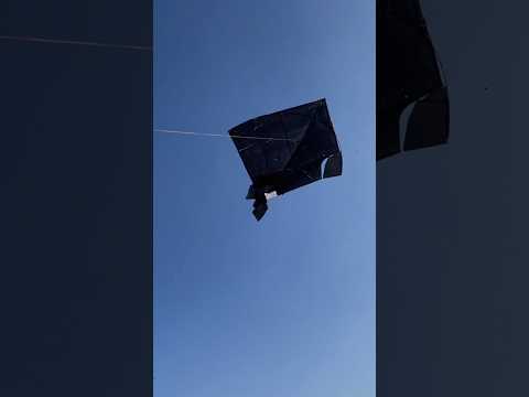 12f.t kite flying gone wrong 😂🪁 || biggest kite flying😍 #lohri2023 #kitevlog