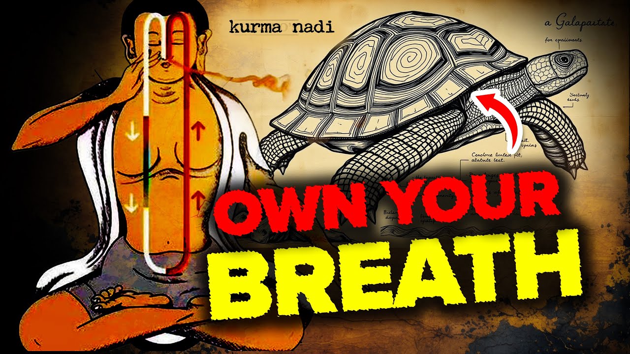 Once you Breathe like this, Reality Changes (simple steps guide)