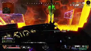筋肉とフルパエーペックス