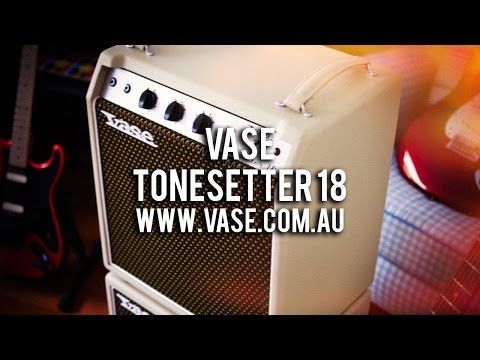 VASE Tonesetter 18 Combo image 6