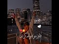 دلبر من دیوانه کردی[top persian music 2024 irani song persian music video 2024 persian dance slow