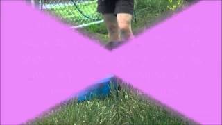 Meet a sweet pitbull mix named Dixie