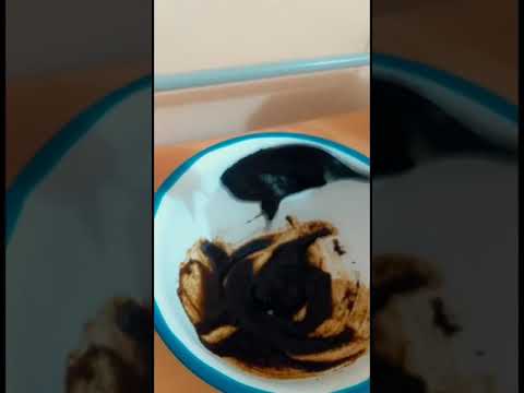 جربي وشوفي النتيجه بنفسك👌🤗(الجزء التاني)