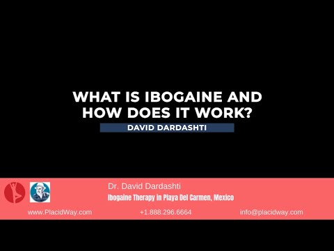 Ibogaine Therapy in Playa Del Carmen, Mexico: How It Works and Revealing Knowledge for a Happy Life