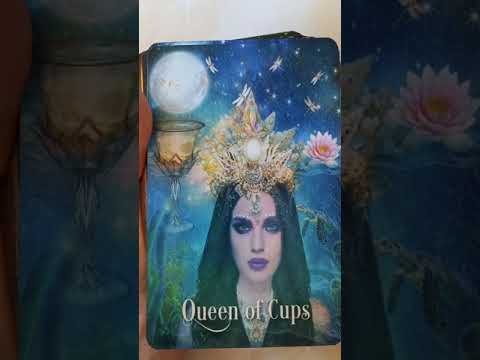 CARDS ONLY- Tarot of Enchanted Dreams by Yasmeen Westwood (mass market)