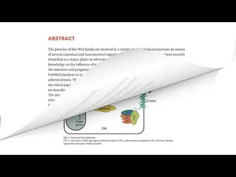 JLA :: Video Abstract