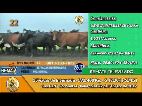 22-02-17 - Venta de Vientres - Remate Televisado SVB  y Cía - Corrientes