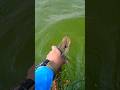 Video Thumbnail for Pike Fishing  #shorts #fishing #pikefishing #subscribe