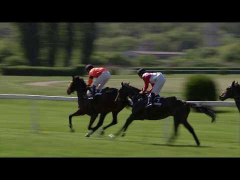 CH, 6. 5. 2018, 4. dostih - CENA ZNAČKY ALAVIS