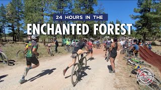 24 Hours in the Enchanted Forest 2021.