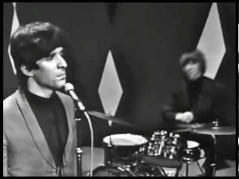 The Beau Brummels - Laugh Laugh (Shindig)