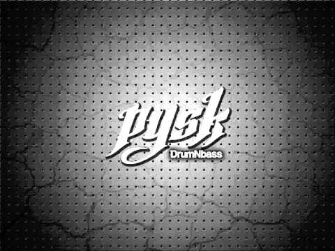 pysk - loonwood (drumNbass)
