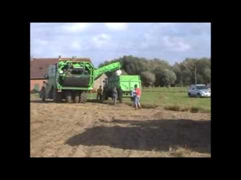 Cattebeke: Aardappel rooien.