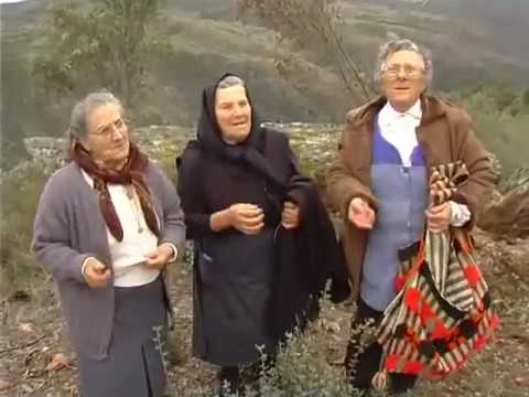 Conhece o Mirandés? A segunda língua oficial de Portugal.