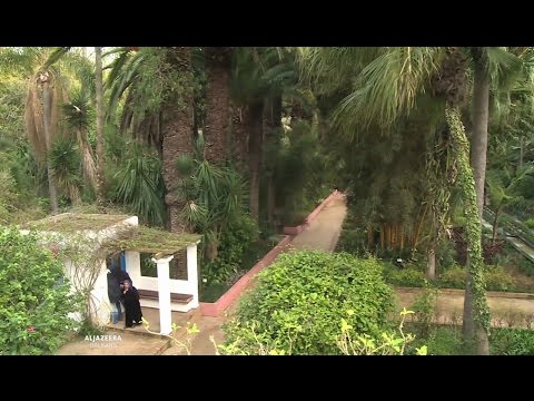 Al Jazeera Svijet - Buknadilski čudesni vrtovi