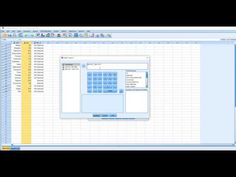 Spss24 mehrere Fälle mit "oder" auswählen