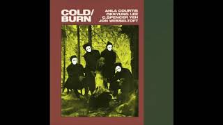 Anla Courtis, Okkyung Lee, C. Spencer Yeh, Jon Wesseltoft ‎– Cold / Burn [2009] [full album]