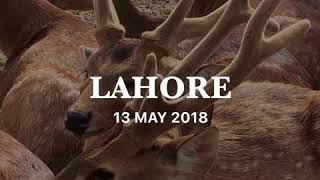 preview picture of video 'Lahore Travel Clips'