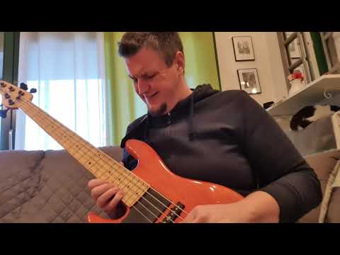 La casa de papel - La casa di carta - soundtrack - Bass cover (bass arrangement)