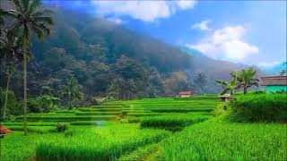 Download lagu 17] LAGU POP SUNDA LAWAS - JUNGJUNAN - Sangat Merdu Didengar Saat Santai Atau Saat Kerja mp3