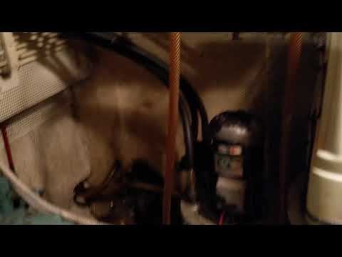 Schwartz Imperator 45