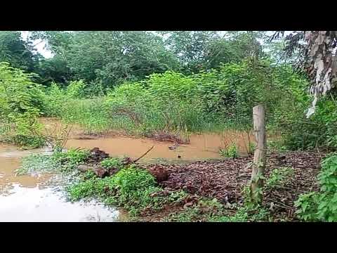 Neuda no Riachinho em Sussuapara Piauí 