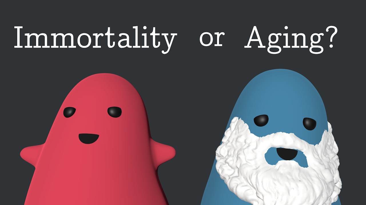 Understanding the Evolution of Aging Through Simulation | Galaxy.ai