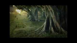 OZARK MOUNTAIN DAREDEVILS - Whippoorwill (HD Music Video Tribute - Version 2)