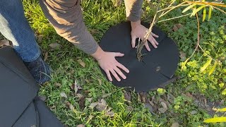 How to use tree mulch rings - honest review