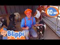 Goat Petting Farm Fun With Blippi Blippi Educational Songs For Kids
