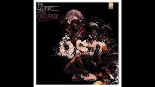 The Quantic Soul Orchestra -  The Conspirator