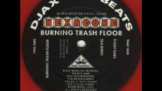 Hexagone - Sea Birds