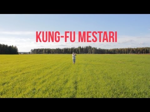 Kung-Fu mestari