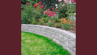 Download lagu Mixed Feelings mp3