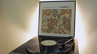 Paradise - Wild Nothing (vinyl rip)
