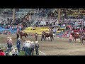 Native relays Pendleton Roundup