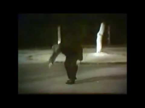 Ouyang Fang, student of Li Xiangyuan, performing Wu Yuxiang Style, also called Kai He.