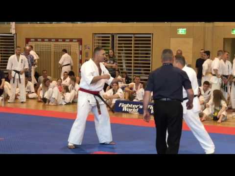 Seitis Manos(Hellas) vs Demanov Alexey(Germany) Final Shinkyokushin Austrian Open 2017, +80kg  Part1