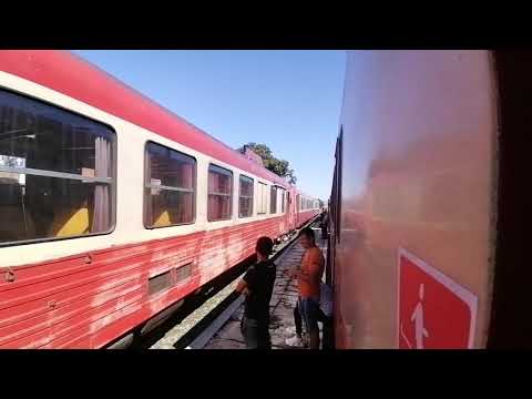 Concert de goarne /Horns Concert (8)