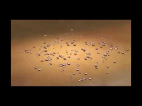 Micfil VSP Antimicrobial Promo Video 2021