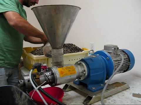 Jatropha oil making process