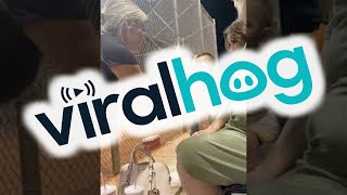 Download lagu Baby Unsure How to High Five Woman With Missing Hand || ViralHog mp3 Download lagu Baby Unsure How to High Five Woman With Missing Hand || ViralHog mp3