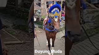Download lagu kuda renggong kuda Sumedang duyung muda #shorts #short #kuda #kudarenggong #kudasumedang mp3