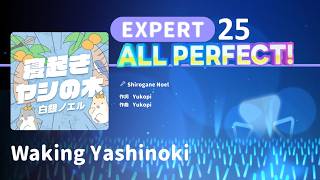 【hololive Dreams】寝起きヤシの木 (Walking Tashinoki) - 白銀ノエル EX 25 AP 手元