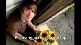 Backseat Goodbye -- Calico Kitten