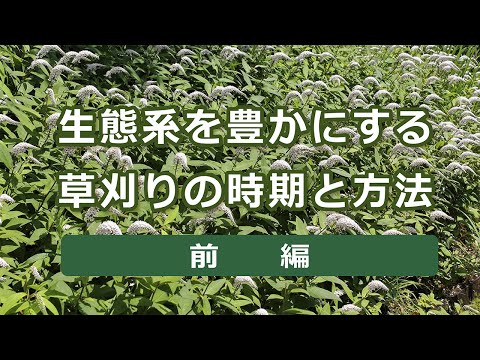 園芸 庭園の生態系を理解する