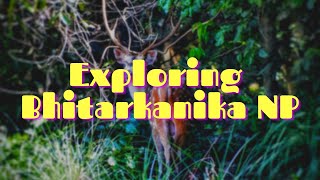 preview picture of video 'Exploring Bhitarkanika National Park'