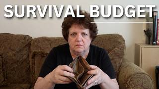 My Bare Bones Budget If Things Got Really Tight ( Survival Budget)