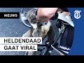 Wielrenner geeft koala in Australië water
